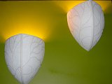 fenice (2).jpg